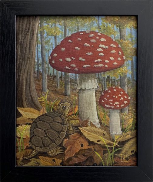 Amanita and Turtle