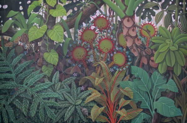 Sundews in Shade