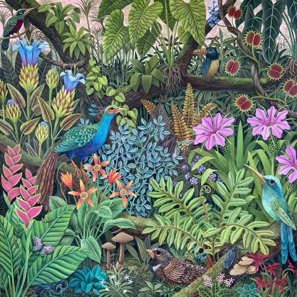 Birds of Paradise