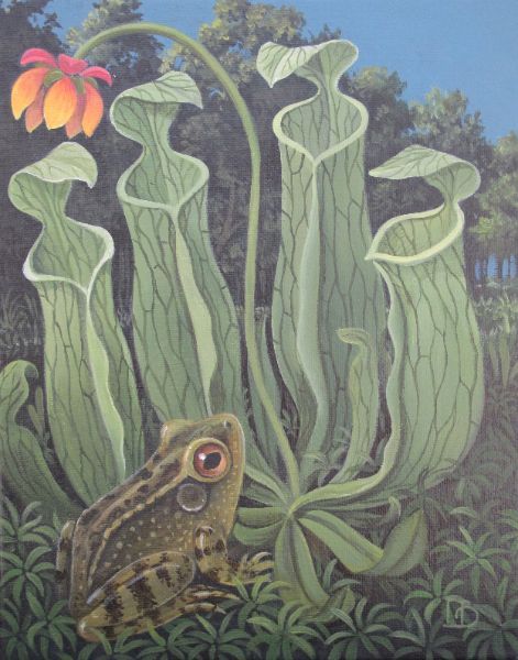 Frog with Pitchers