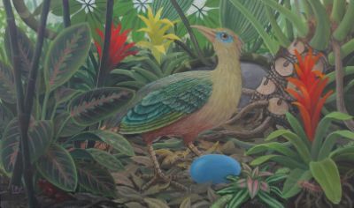 Ground Cuckoo